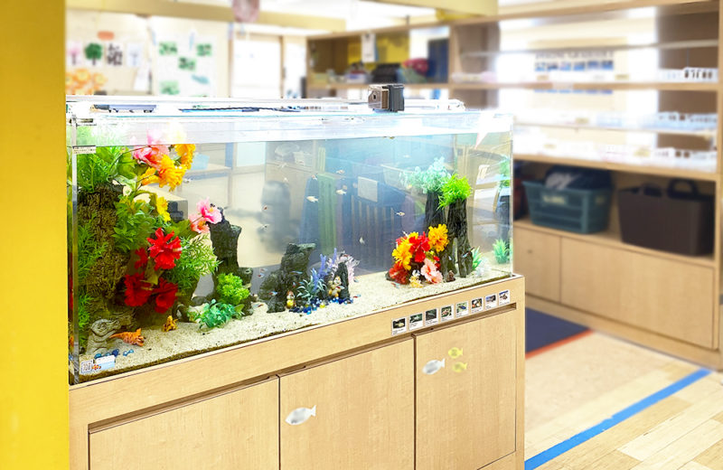 神奈川県横浜市　教育施設様　150cm淡水魚水槽　17年目のメンテナンス事例 水槽画像その５