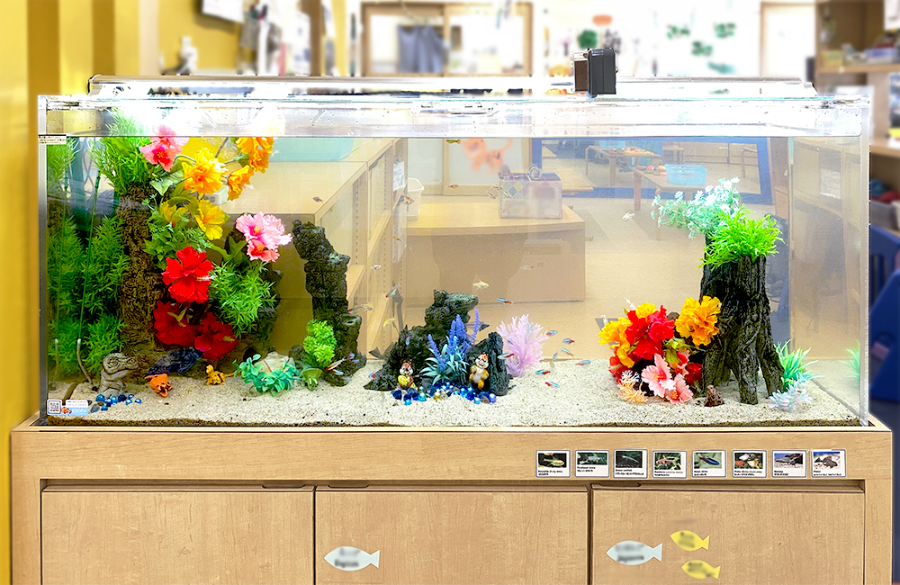 神奈川県横浜市　教育施設様　150cm淡水魚水槽　17年目のメンテナンス事例のサムネイル画像
