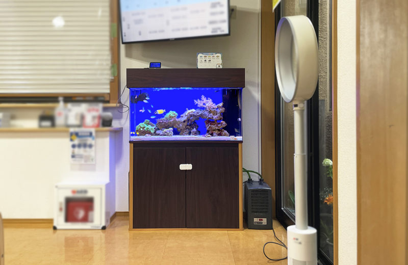 埼玉県秩父郡　病院様　90cmサンゴ水槽　レンタル事例 水槽画像５