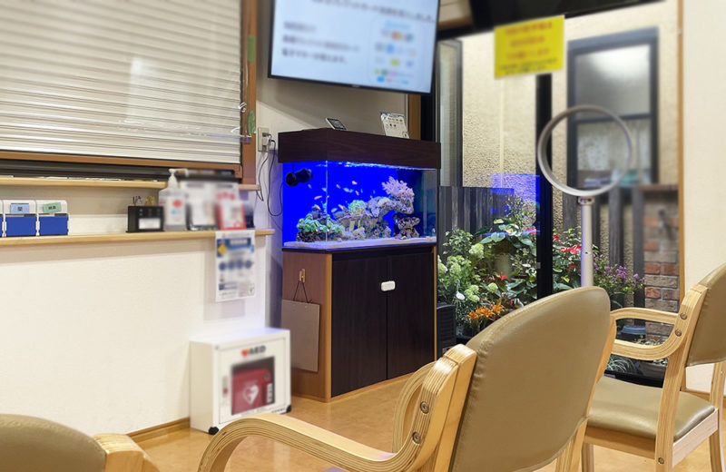 埼玉県秩父郡　病院様　90cmサンゴ水槽　レンタル事例 水槽画像２