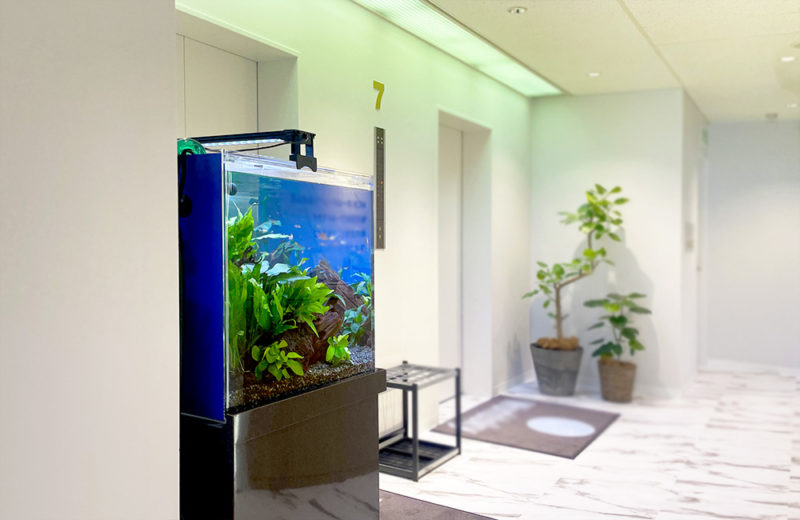 東京都中央区　株式会社ワールドスカイ様　120cm淡水魚水槽　レンタル事例 水槽画像３