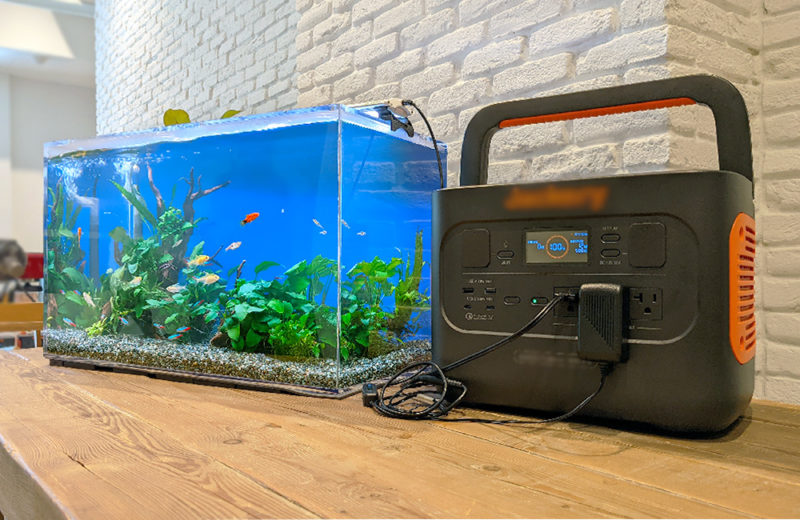 東京都港区 撮影イベント様 60cm淡水魚水槽 短期レンタル事例 水槽画像４