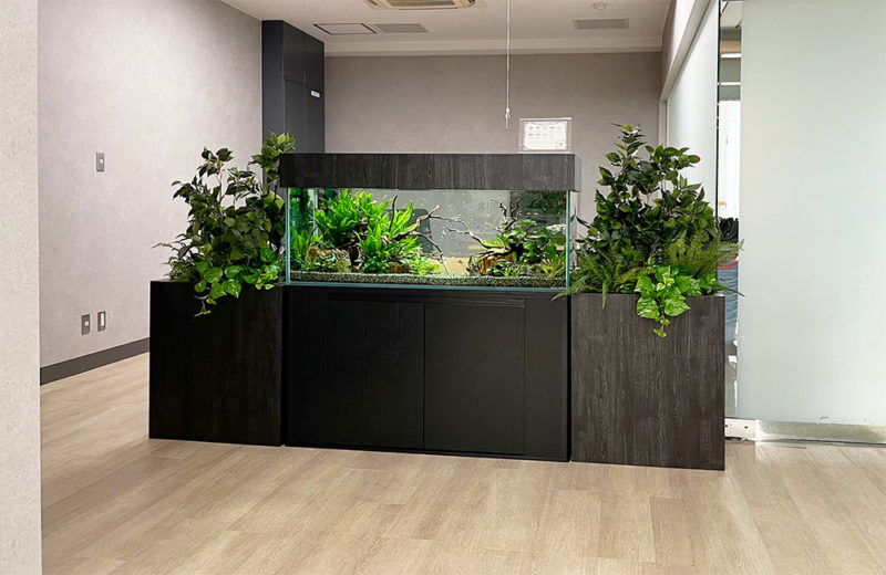 オフィスの120cm水草水槽！緑の癒しを演出します 水槽画像その３