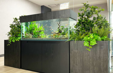 オフィスの120cm水草水槽！緑の癒しを演出します