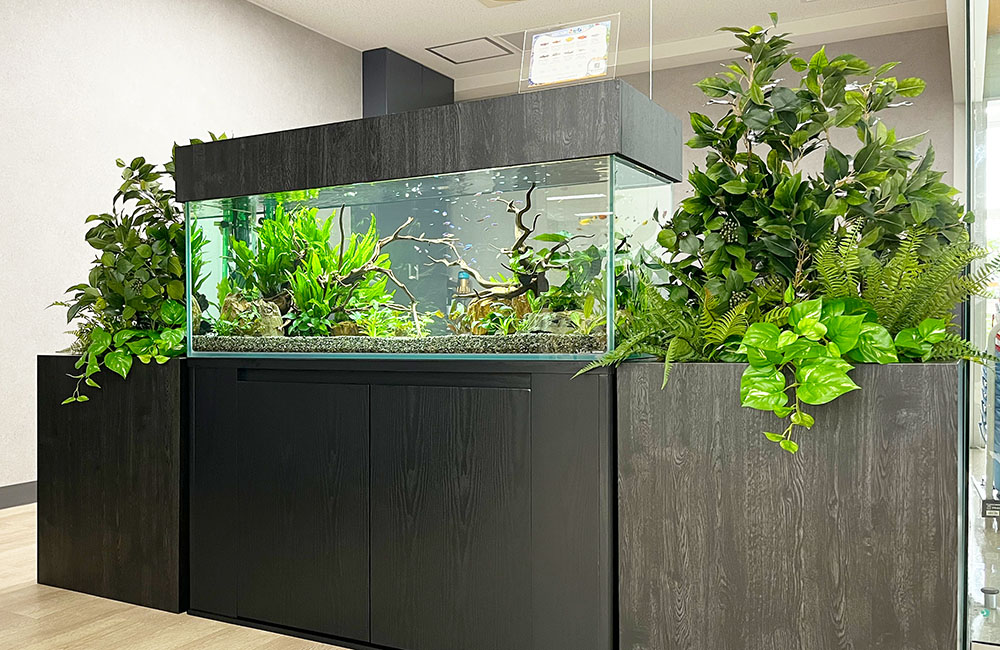 オフィスの120cm水草水槽！緑の癒しを演出しますのサムネイル画像