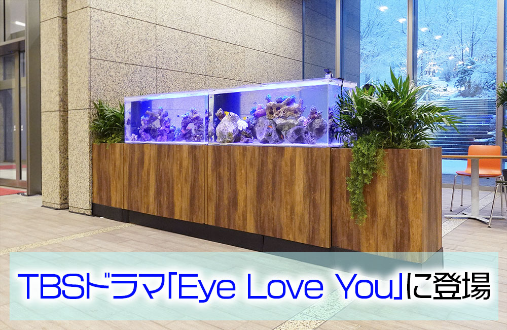 TBSドラマ「Eye Love You」に登場！サンゴ水槽2台を短期レンタル メイン画像