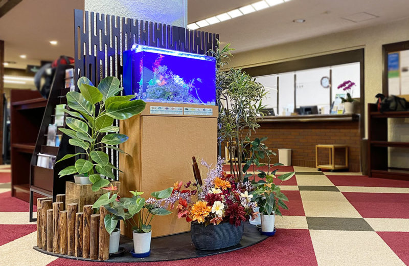 東京都　スポーツ施設様に設置　60cm淡水魚水槽　レンタル事例　その後 水槽画像その１