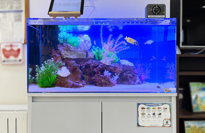 待合室の90cm海水魚水槽　クリニックのレンタル事例 水槽画像３