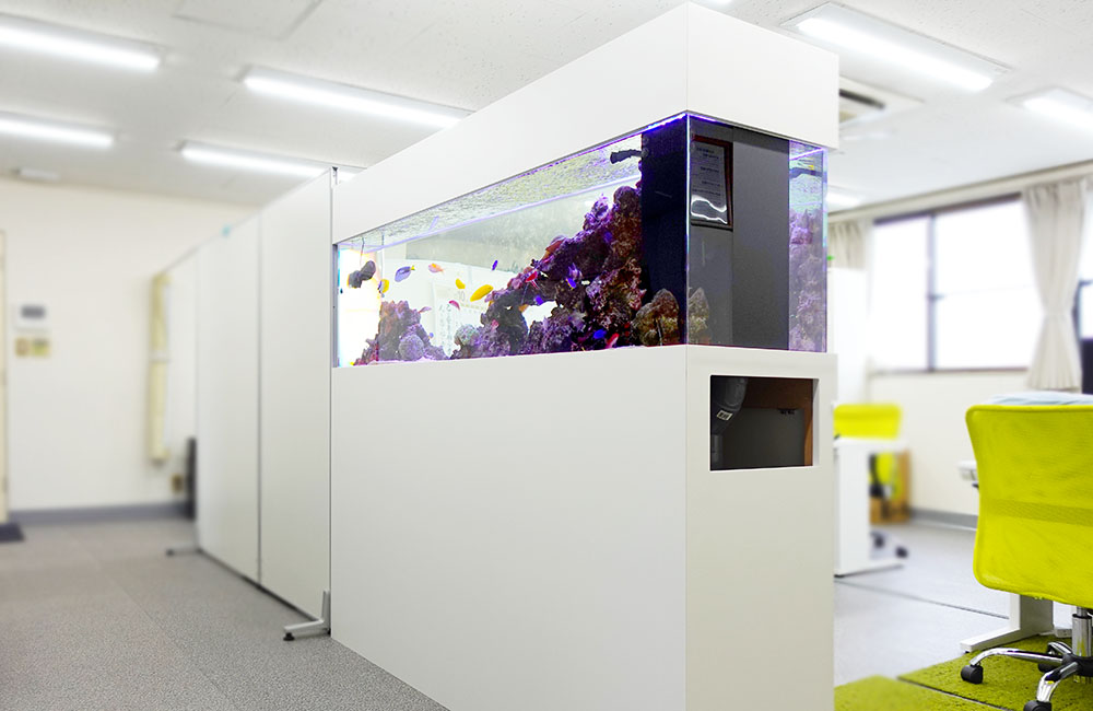 大型アクアリウム！オフィスの180cmサンゴ水槽 2台目のサムネイル画像