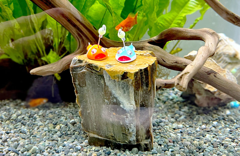 ルアー・謎のあんこうを大阪で展示！釣りイベントのディスプレイ水槽 水槽画像３