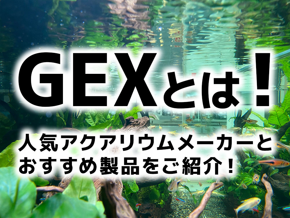 ジェックス（GEX）とは！人気のアクアリウムメーカーとおすすめ製品5選のサムネイル画像