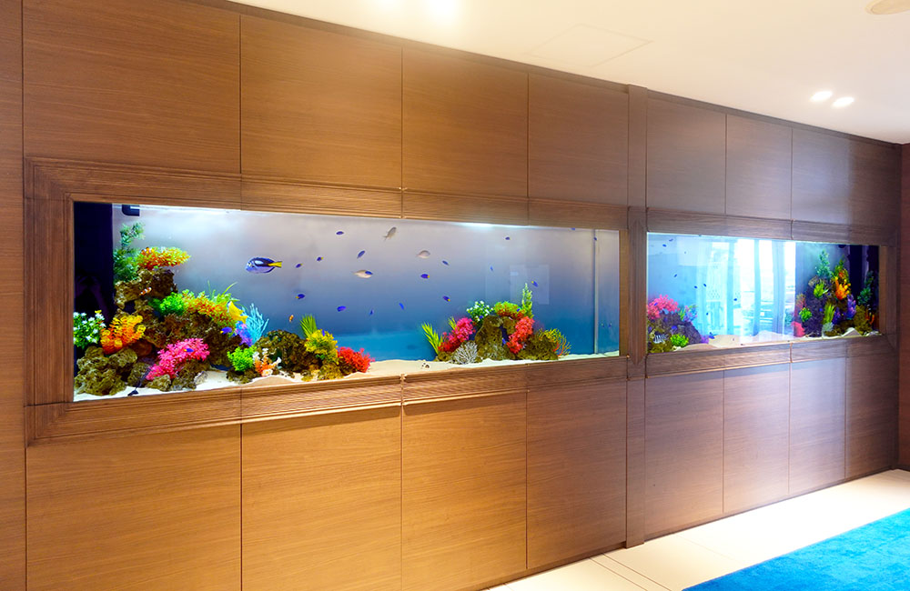 結婚式場の3ｍ水槽2台！美しい海水魚水槽が空間を演出します メイン画像