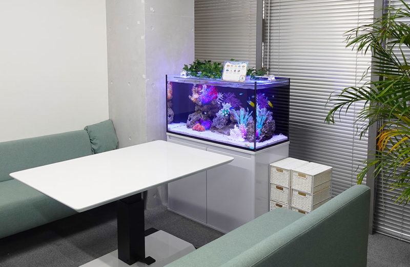 オフィスの海水魚水槽！90cmサイズでミーティングスペースを彩る！ 水槽画像２