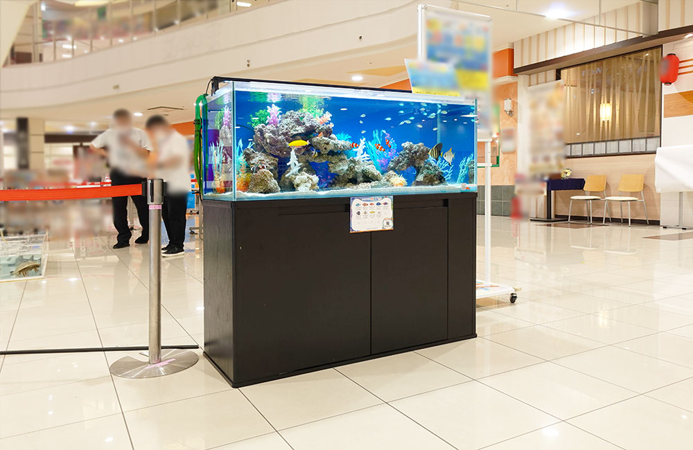 短期イベントの海水魚水槽！ショッピングモールで夏の移動水族館・その２のサムネイル画像