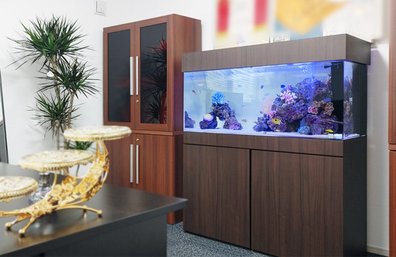 室内で海の世界を楽しむ！オフィスに設置した120cm海水魚水槽レンタル事例 水槽画像１
