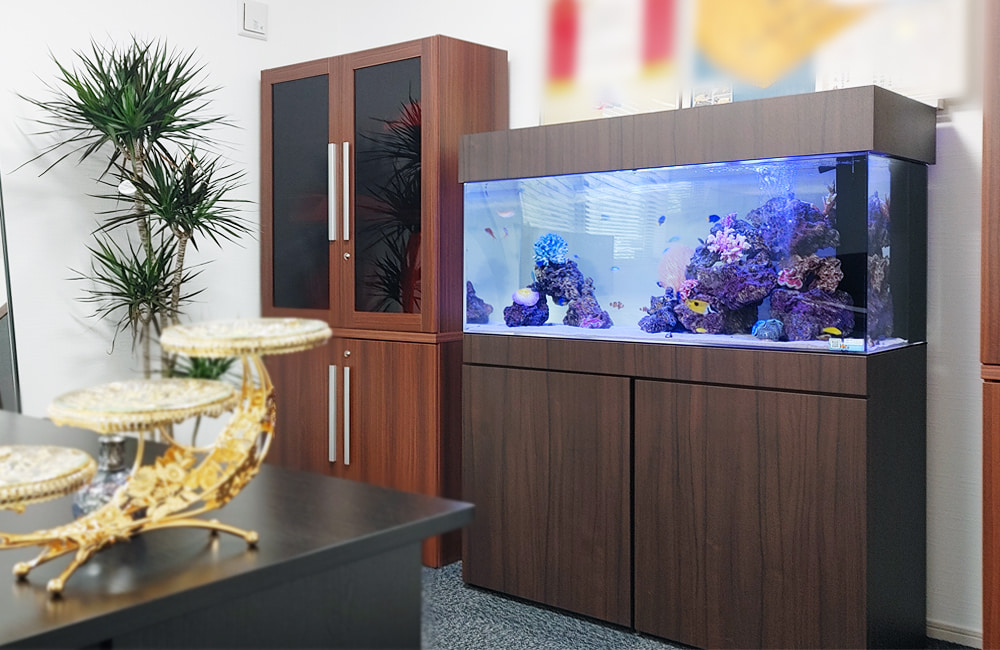 室内で海の世界を楽しむ！オフィスに設置した120cm海水魚水槽レンタル事例のサムネイル画像