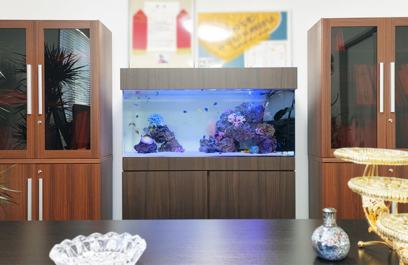 室内で海の世界を楽しむ！オフィスに設置した120cm海水魚水槽レンタル事例 水槽画像２