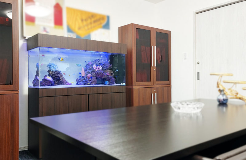 室内で海の世界を楽しむ！オフィスに設置した120cm海水魚水槽レンタル事例 水槽画像その４