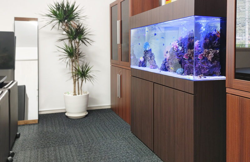 室内で海の世界を楽しむ！オフィスに設置した120cm海水魚水槽レンタル事例 水槽画像その５
