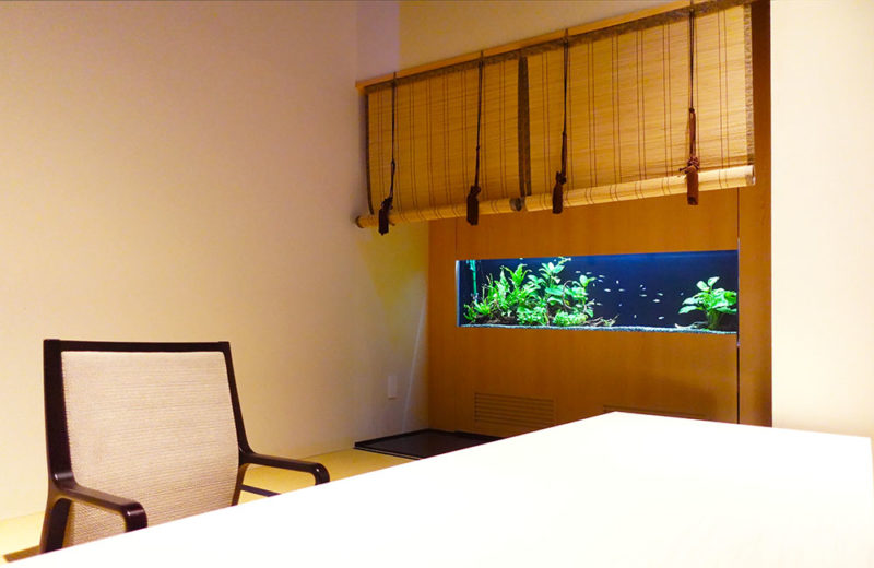 日本料理 魚月様の150cm埋め込み水槽の現在！その1 水槽画像その５