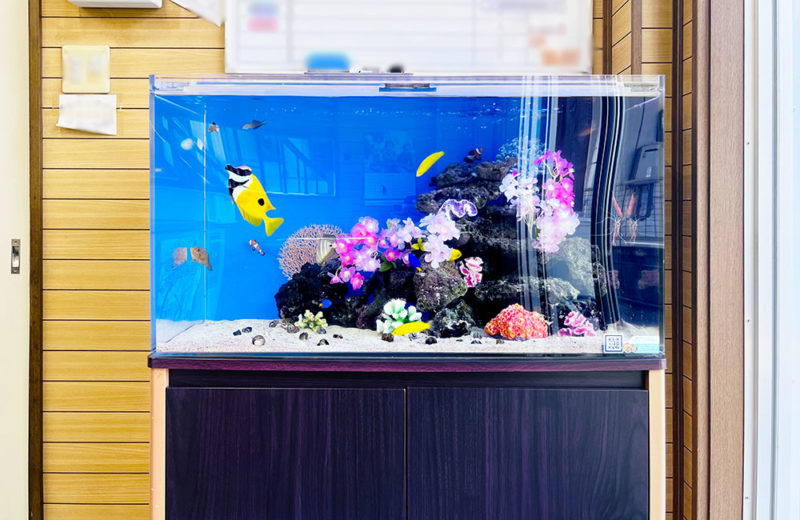 事務所の90cm海水魚水槽に造花を追加！季節のレイアウト 水槽画像４