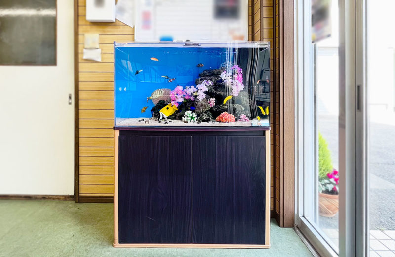 事務所の90cm海水魚水槽に造花を追加！季節のレイアウト 水槽画像５