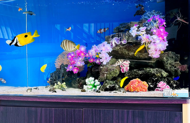 事務所の90cm海水魚水槽に造花を追加！季節のレイアウト 水槽画像３