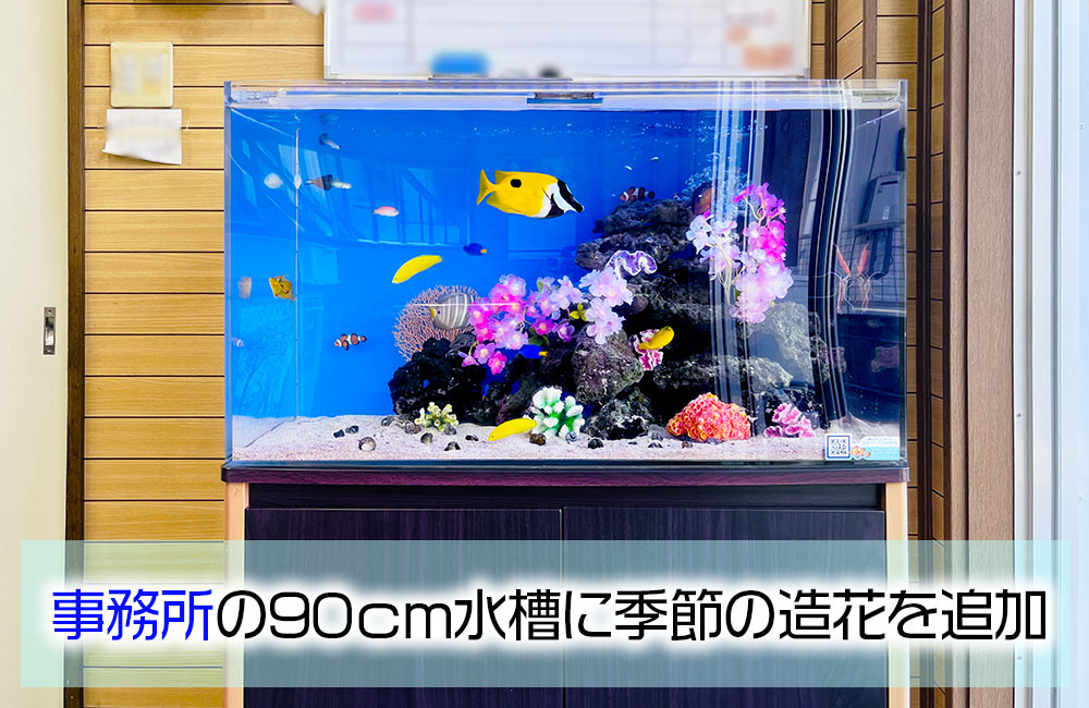 事務所の90cm海水魚水槽に造花を追加！季節のレイアウトのサムネイル画像