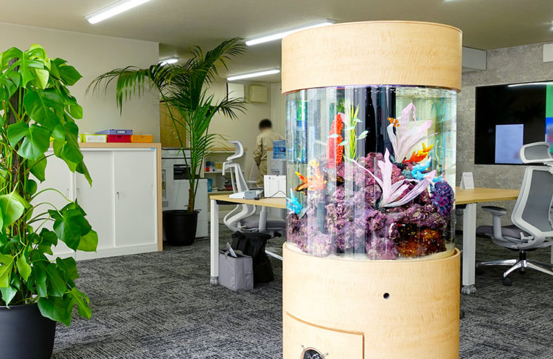 オフィスの中心部に設置！直径60cmの円柱水槽！海水魚が泳ぎます 水槽画像３