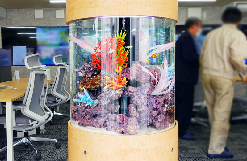 オフィスの中心部に設置！直径60cmの円柱水槽！海水魚が泳ぎます 水槽画像５