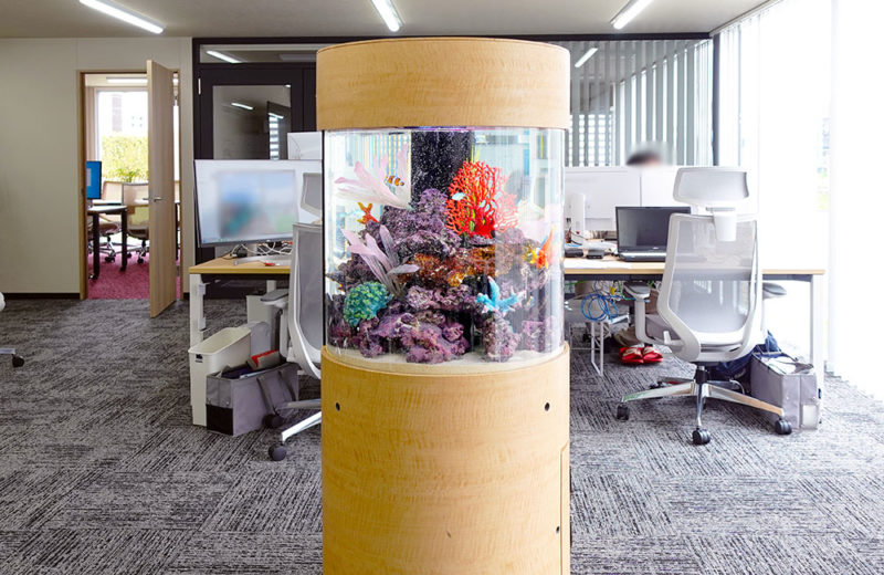 オフィスの中心部に設置！直径60cmの円柱水槽！海水魚が泳ぎます 水槽画像２