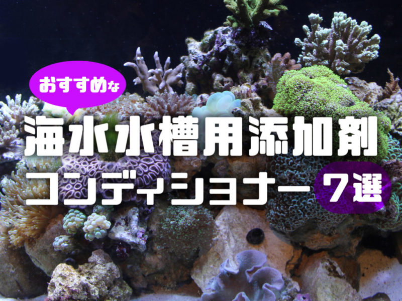 海水水槽用添加剤7選！海水魚・サンゴにおすすめなコンディショナーサムネイル