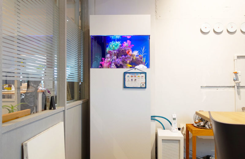 オフィスの60cm海水魚水槽！ハイタイプの水槽台で観賞性アップ 水槽画像２