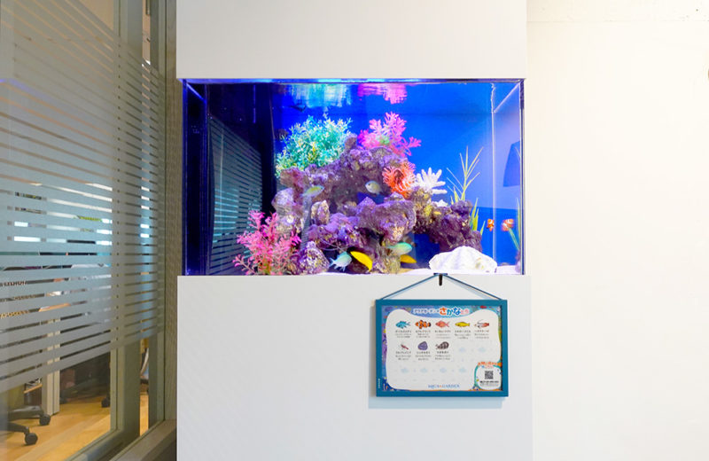 オフィスの60cm海水魚水槽！ハイタイプの水槽台で観賞性アップ 水槽画像５