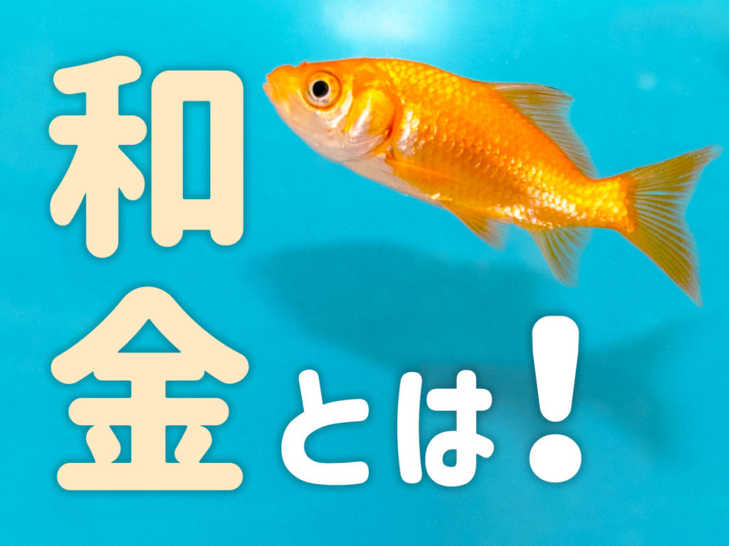 和金とは！金魚の基本種の特徴から品種、飼育のポイントまで解説しますのサムネイル画像