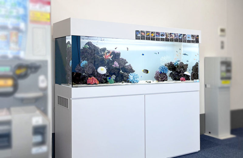 病院に150cm海水魚水槽を設置！海水魚の姿を楽しめる爽やかな水槽 水槽画像５