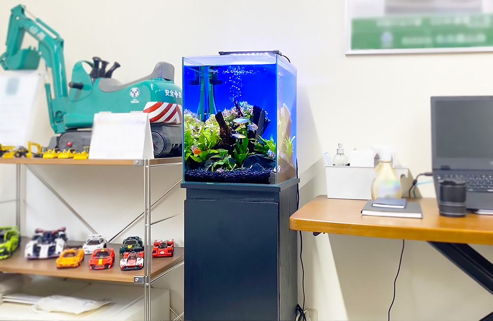 小型水槽なら机と棚の間の空きスペースにもぴったりです