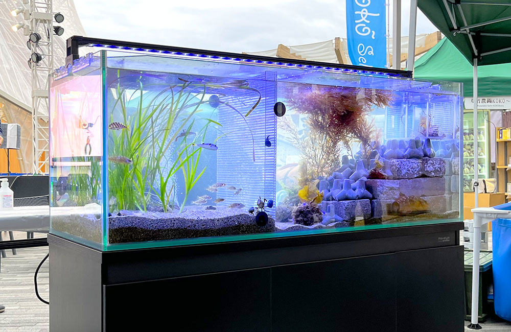 海水魚 水槽一式 120cm フルセット