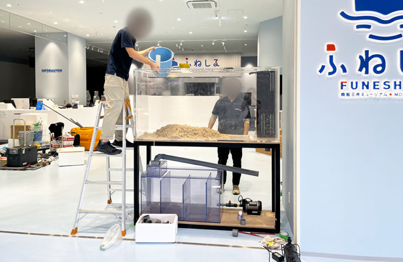 商船三井ミュージアム「ふねしる」様に万博水槽を移設！1.6m水槽 水槽画像２