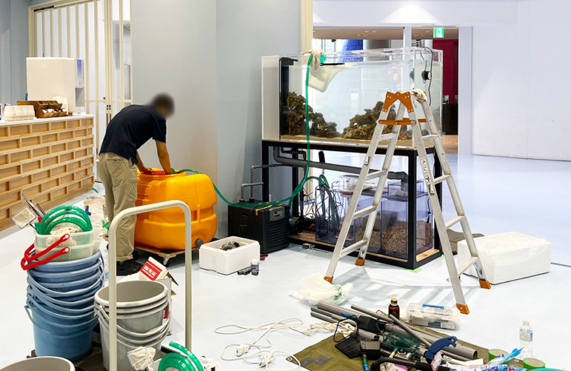 商船三井ミュージアム「ふねしる」様に万博水槽を移設！1.6m水槽 水槽画像４