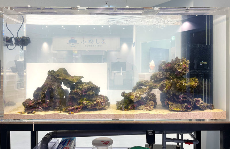 商船三井ミュージアム「ふねしる」様に万博水槽を移設！1.6m水槽 水槽画像５