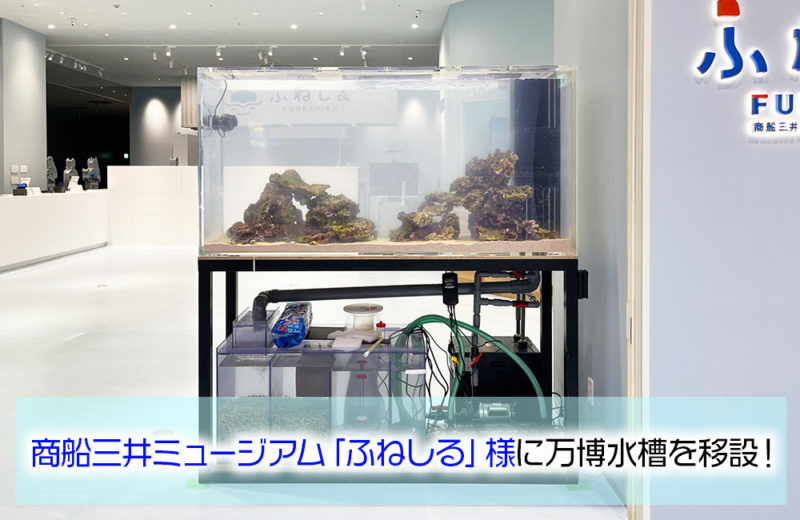 商船三井ミュージアム「ふねしる」様に万博水槽を移設！1.6m水槽 水槽画像１