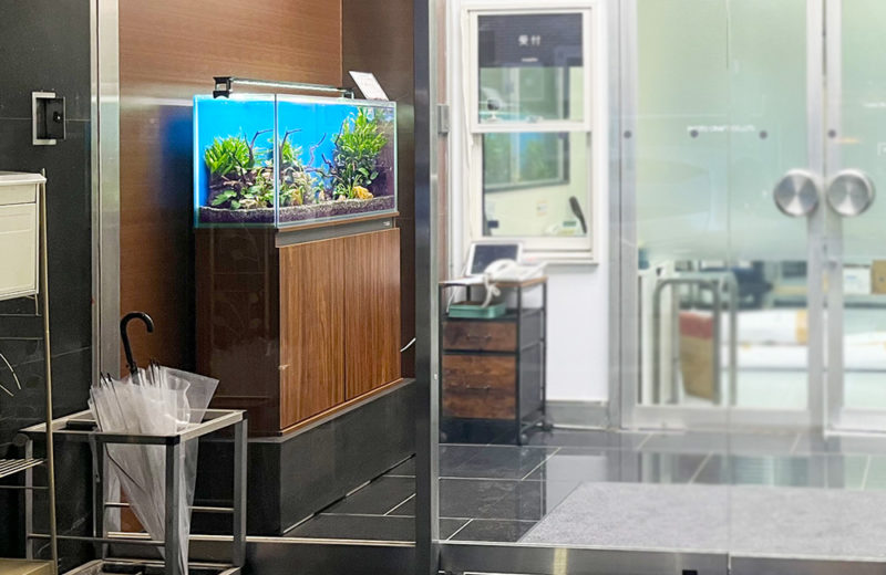 株式会社フォトクラフト社様に90cm淡水魚水槽をレンタル！ 水槽画像５