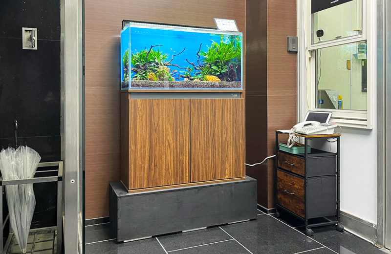 株式会社フォトクラフト社様に90cm淡水魚水槽をレンタル！ 水槽画像４