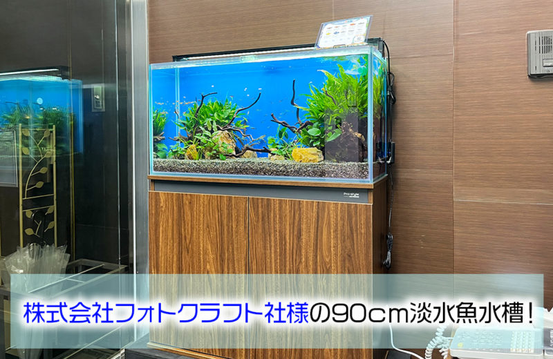株式会社フォトクラフト社様に90cm淡水魚水槽をレンタル！ 水槽画像１