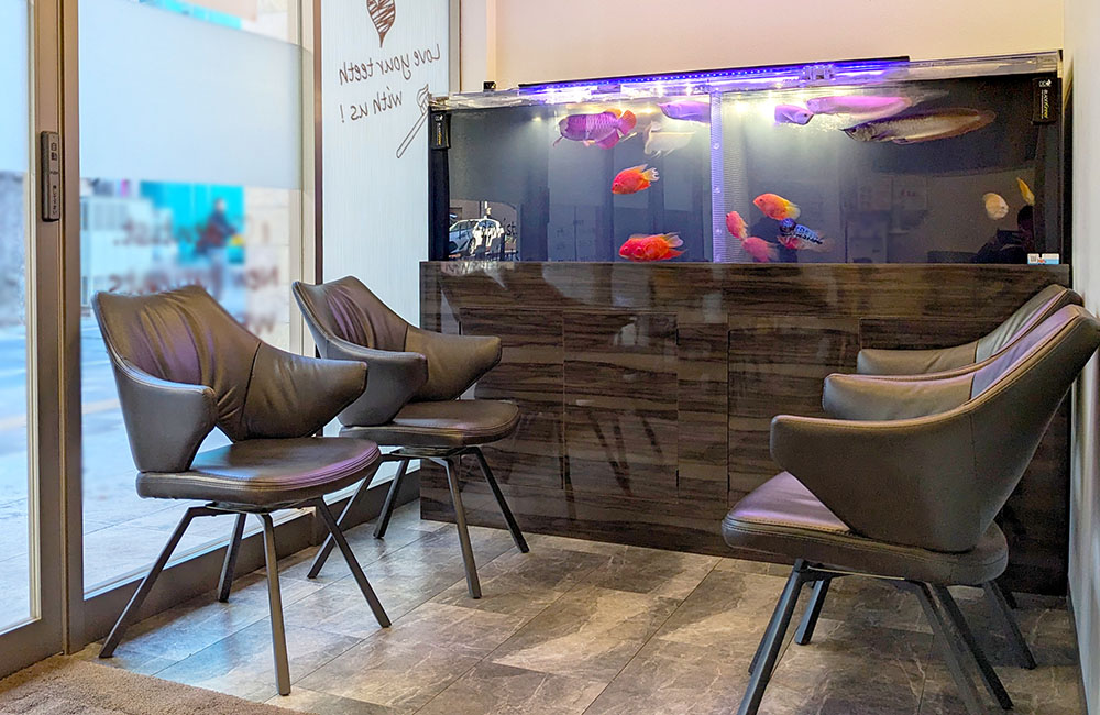 ド迫力のアロワナ水槽はクリニックの名物に。