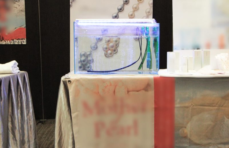 台東区　短期イベント 60cm水槽　1日の短期水槽レンタル事例 水槽画像２