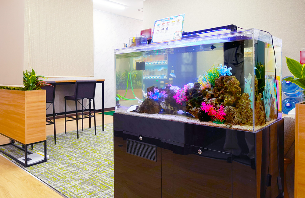 企業様のオフィスに90cm水槽をレンタル！海水魚水槽その後の様子｜東京