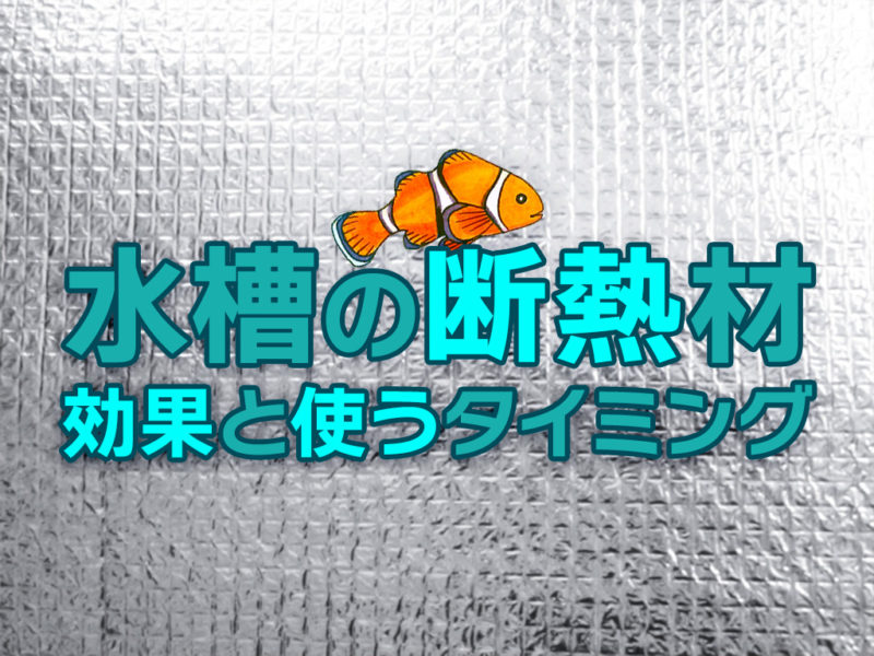 水槽の断熱材の効果と使うタイミングの見出し画像