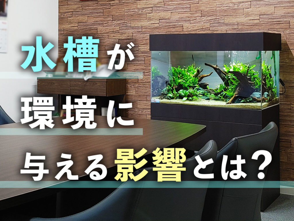 水槽の影響とは？設置環境に与えるメリットやデメリットを解説！のサムネイル画像